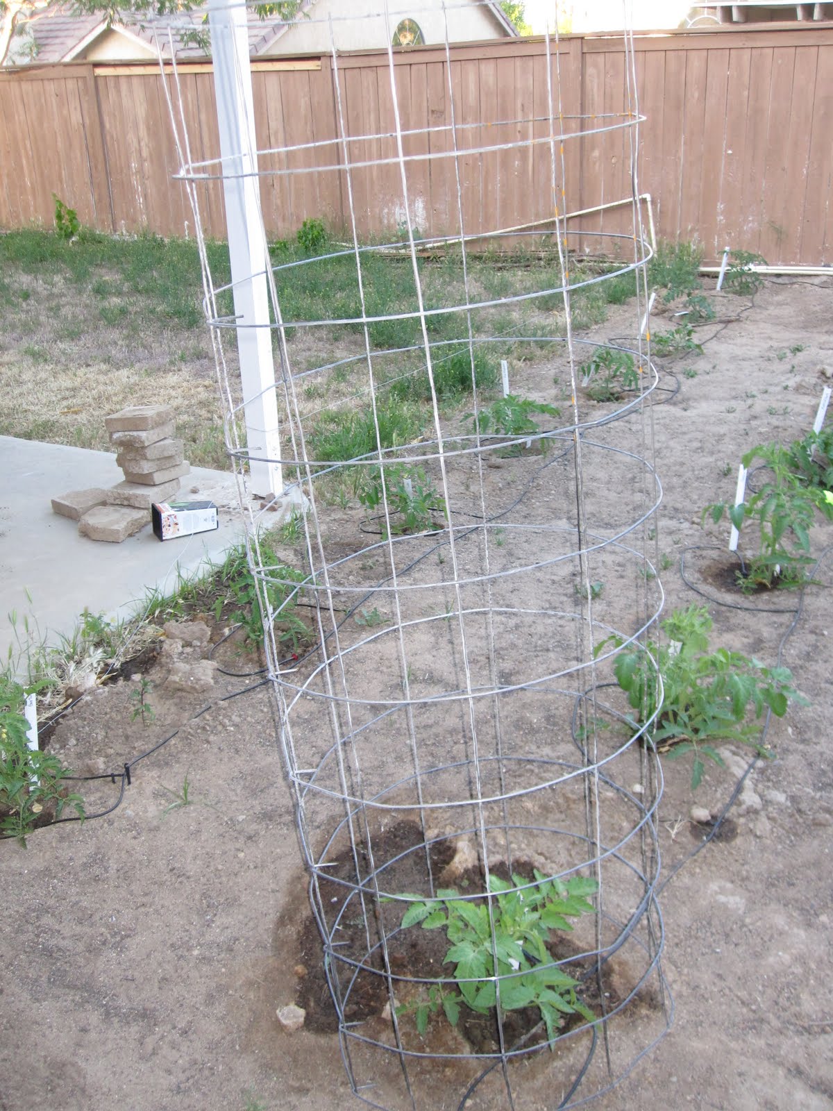 Clarity...perhaps Tomato Cages