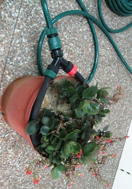 Garden Irrigation Products Manufacturer: How To Install a Simple Drip