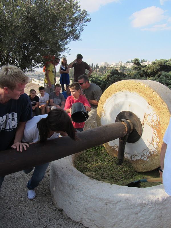 Huntsmans in the Holy Land Making Olive Oil at the Jerusalem Center