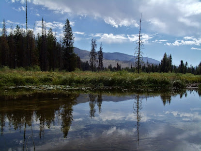 Warm Lake Reflections