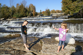 Sauble Falls