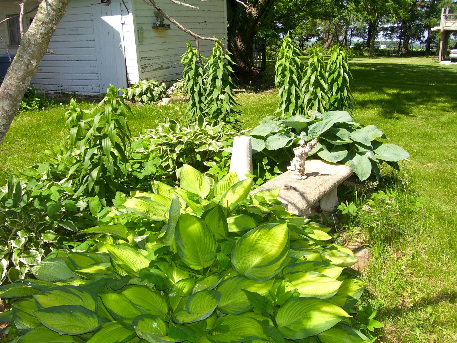 Carey's Quirks Our Iowa Farm