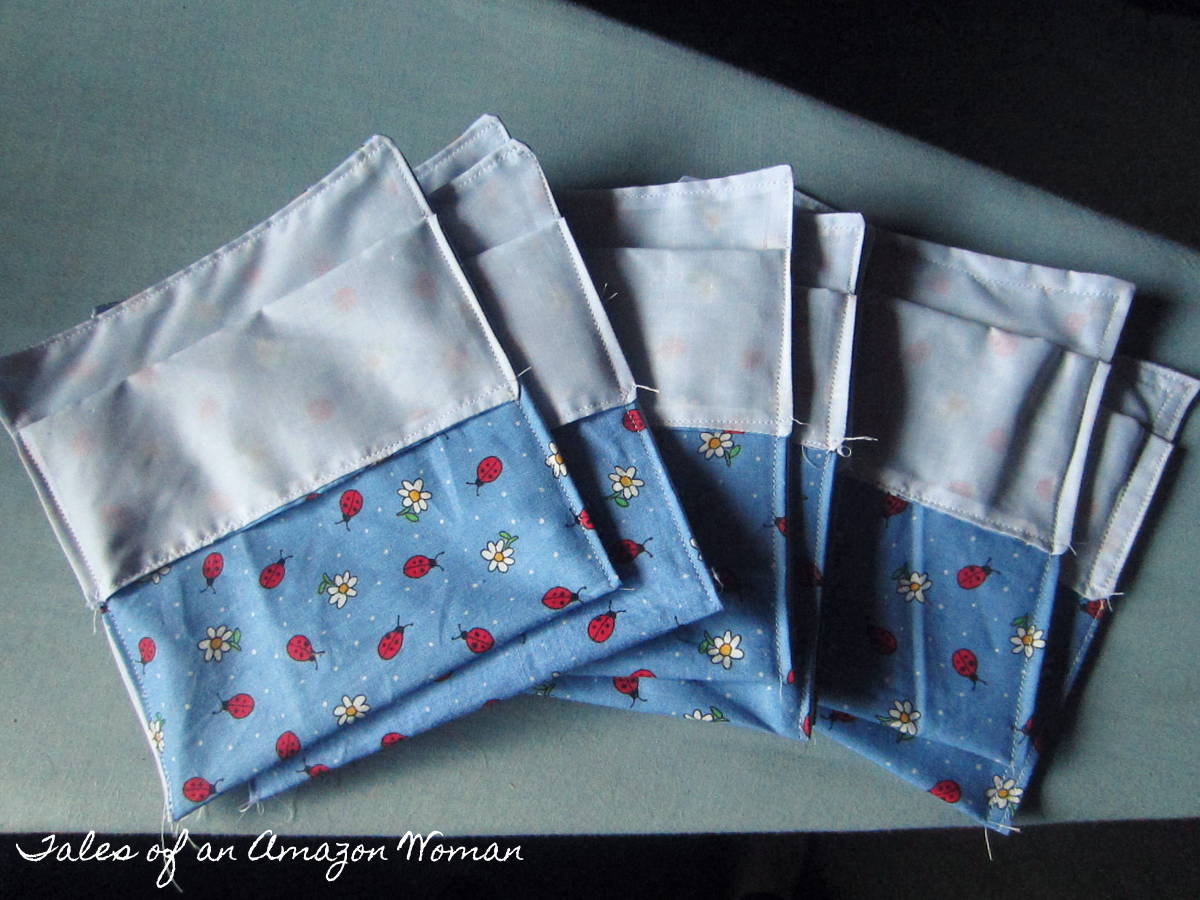 Tales of an Amazon Woman in Pink Shoes Reusable Snack Bags