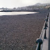 a new beach in the city