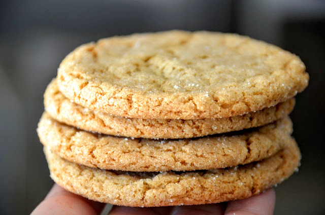 Autumn Spice Cookies | Cheesy Pennies