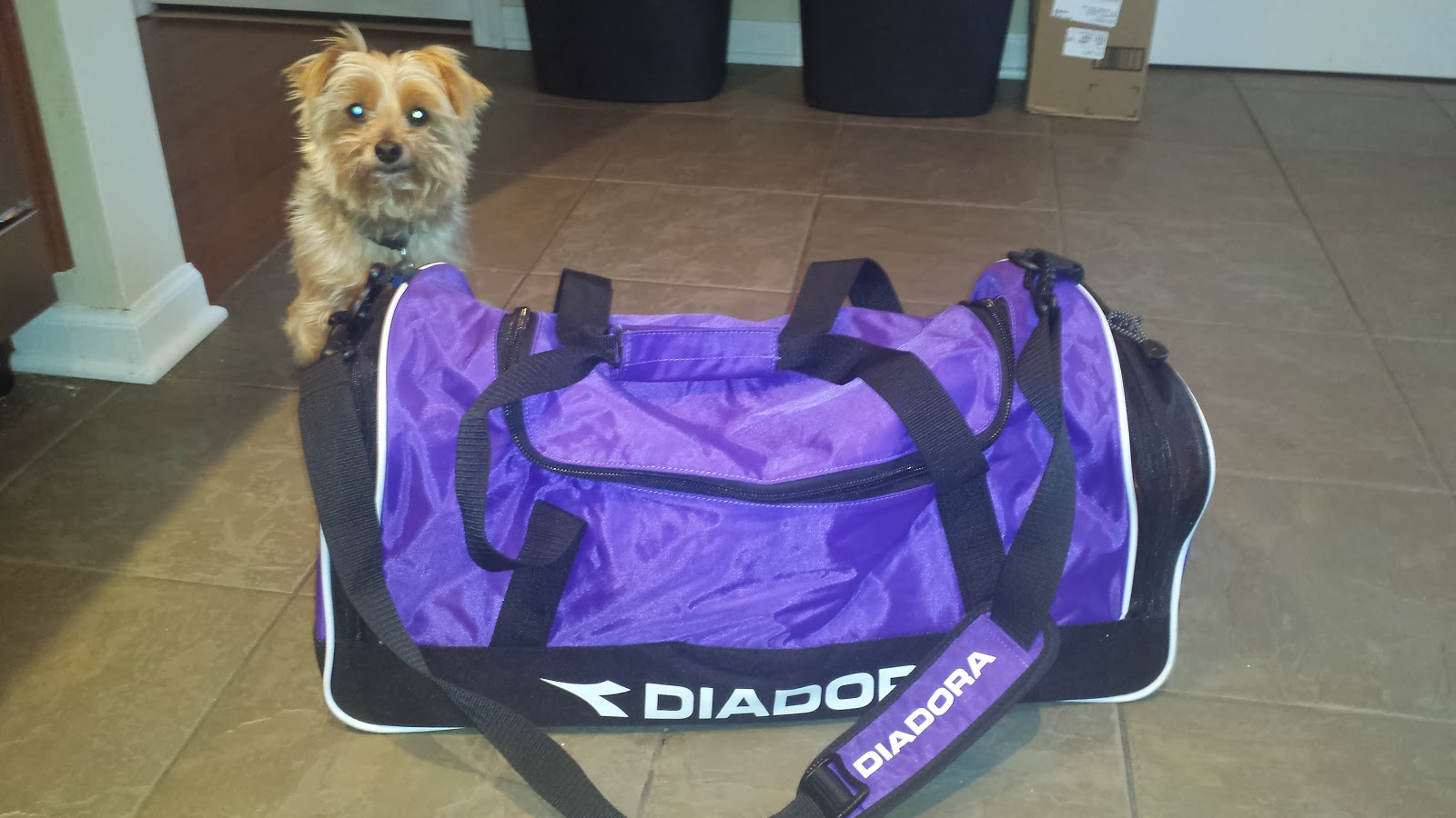 Kelly the Culinarian How to Pack the Perfect Gym Bag