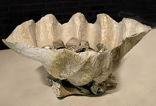 How to eat clams image