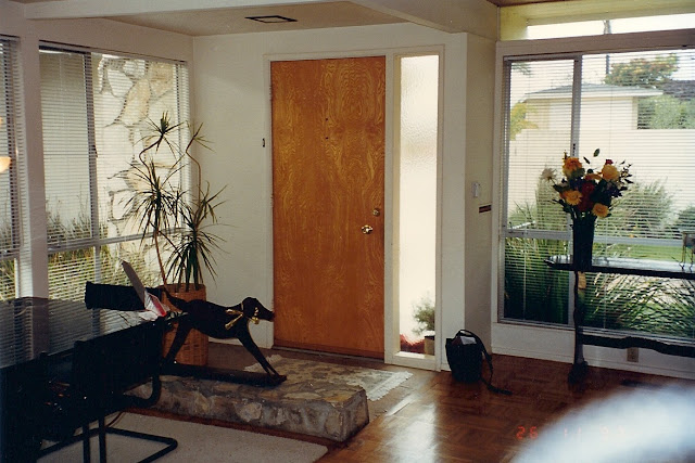 Interior mid-century modern door