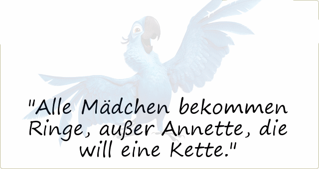 Lustige Spruche Uber Frauen Leadiaha