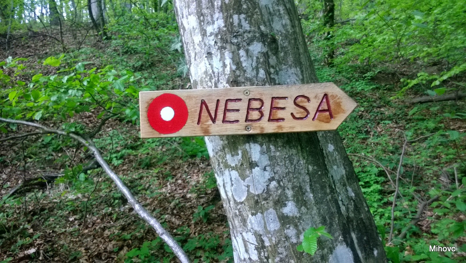 Nebesa