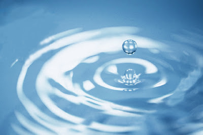 Nada nos LIBRA de ESCORPIO: EN BUSCA DE LOS SECRETOS DEL AGUA