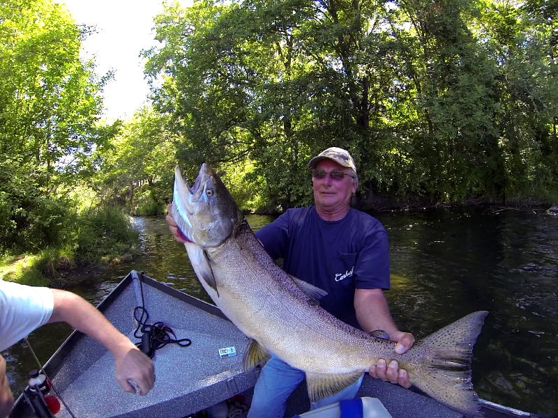 Steelhead fishing report sw oregon