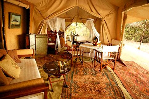 enchantée: vintage safari: true at first light