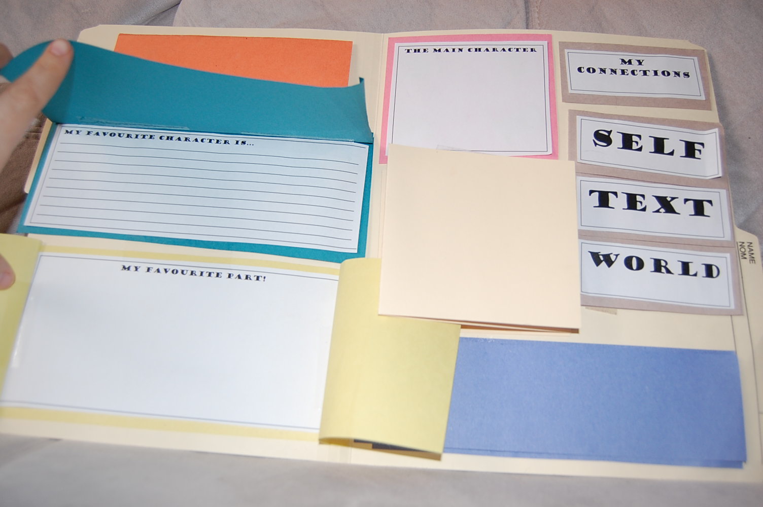 Thinking of Teaching Interactive Reading Portfolio (Freebie)