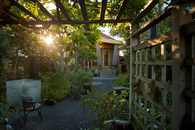 Boxwood Alternatives Fairfax Gardening