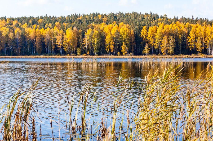 Озеро Безрыбное