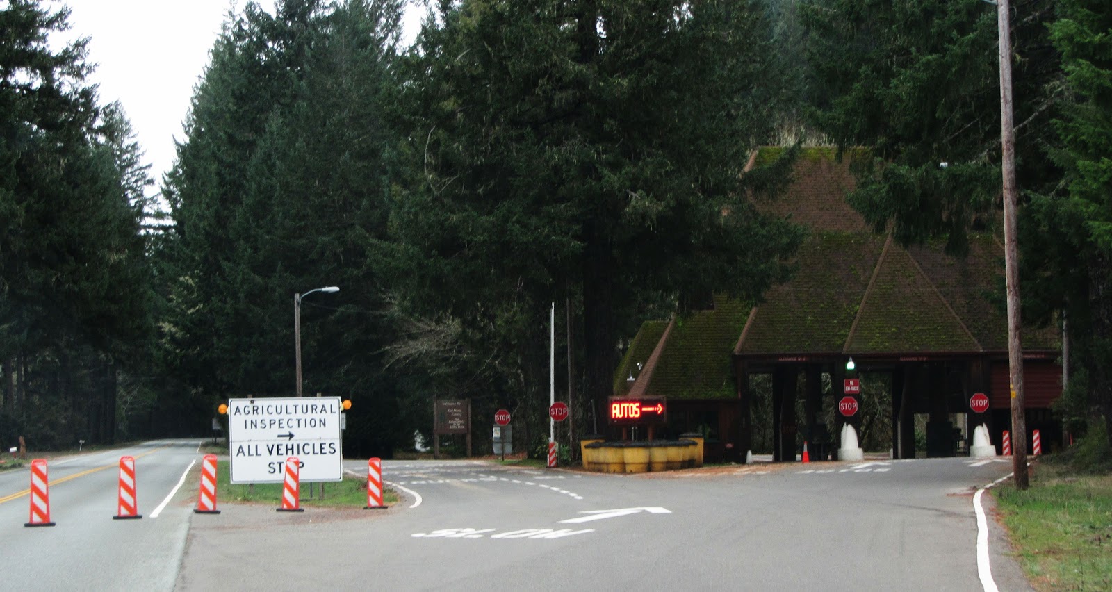 First Encounter with the Giants The Road Junkies