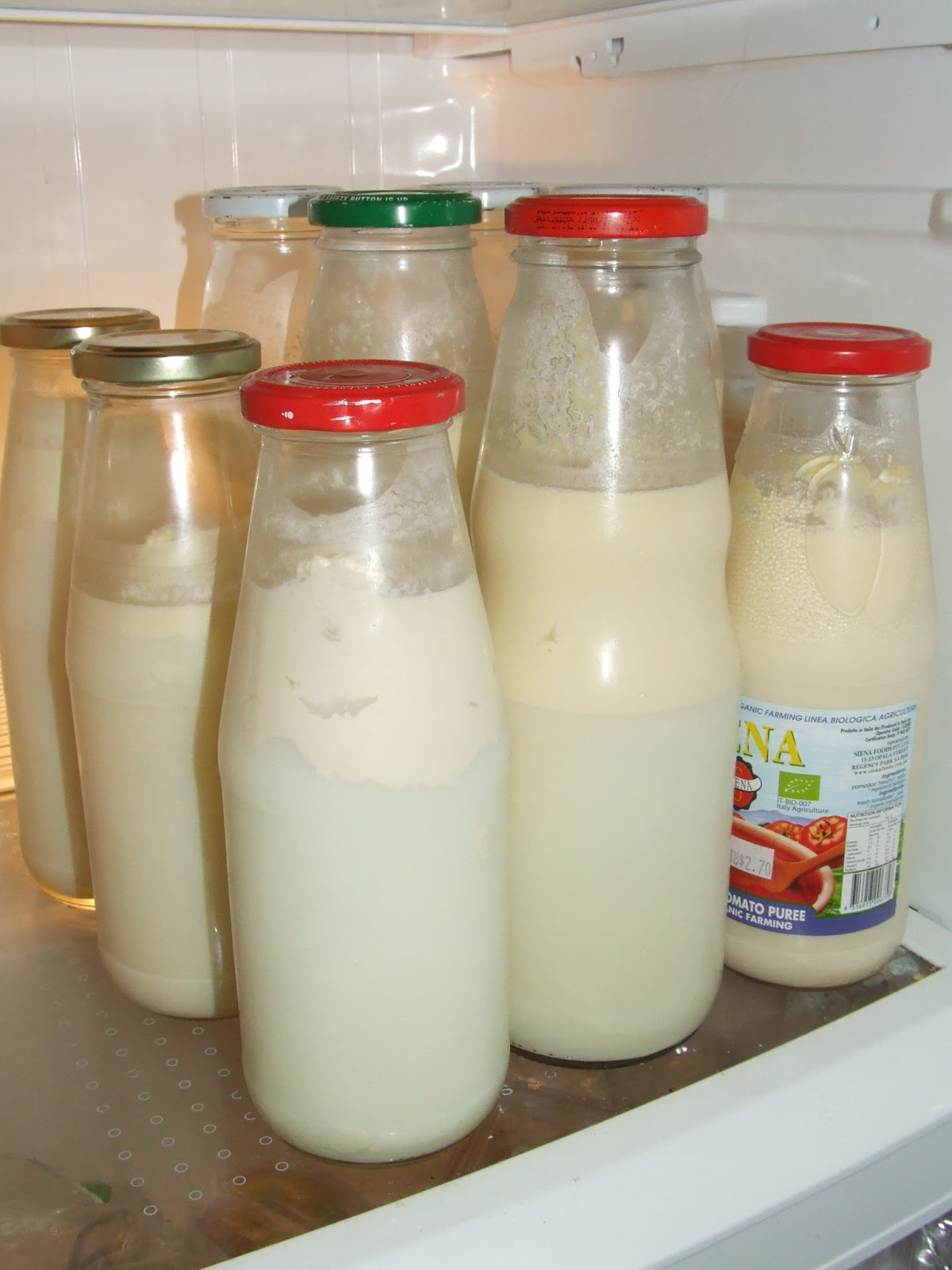 Raw Milk Excitement Little Green Cheese