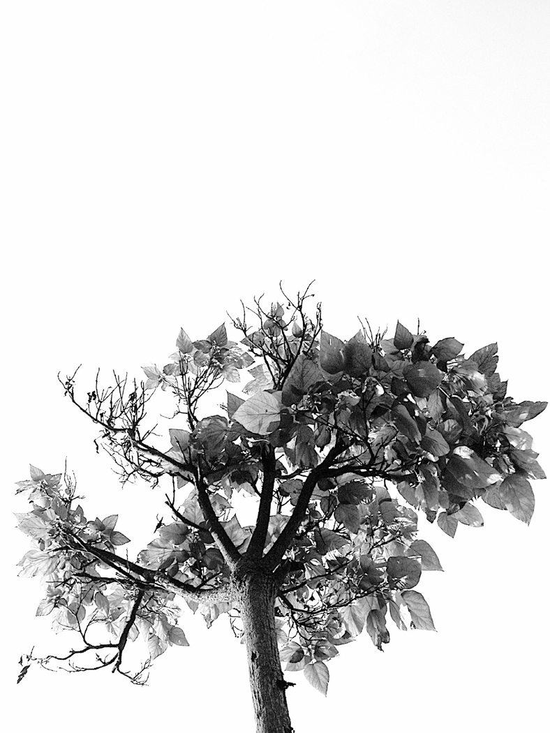 Melinda From Speak Quotes. QuotesGram