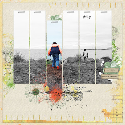 http://www.scrapbookgraphics.com/photopost/challenges/p214097-fly.html