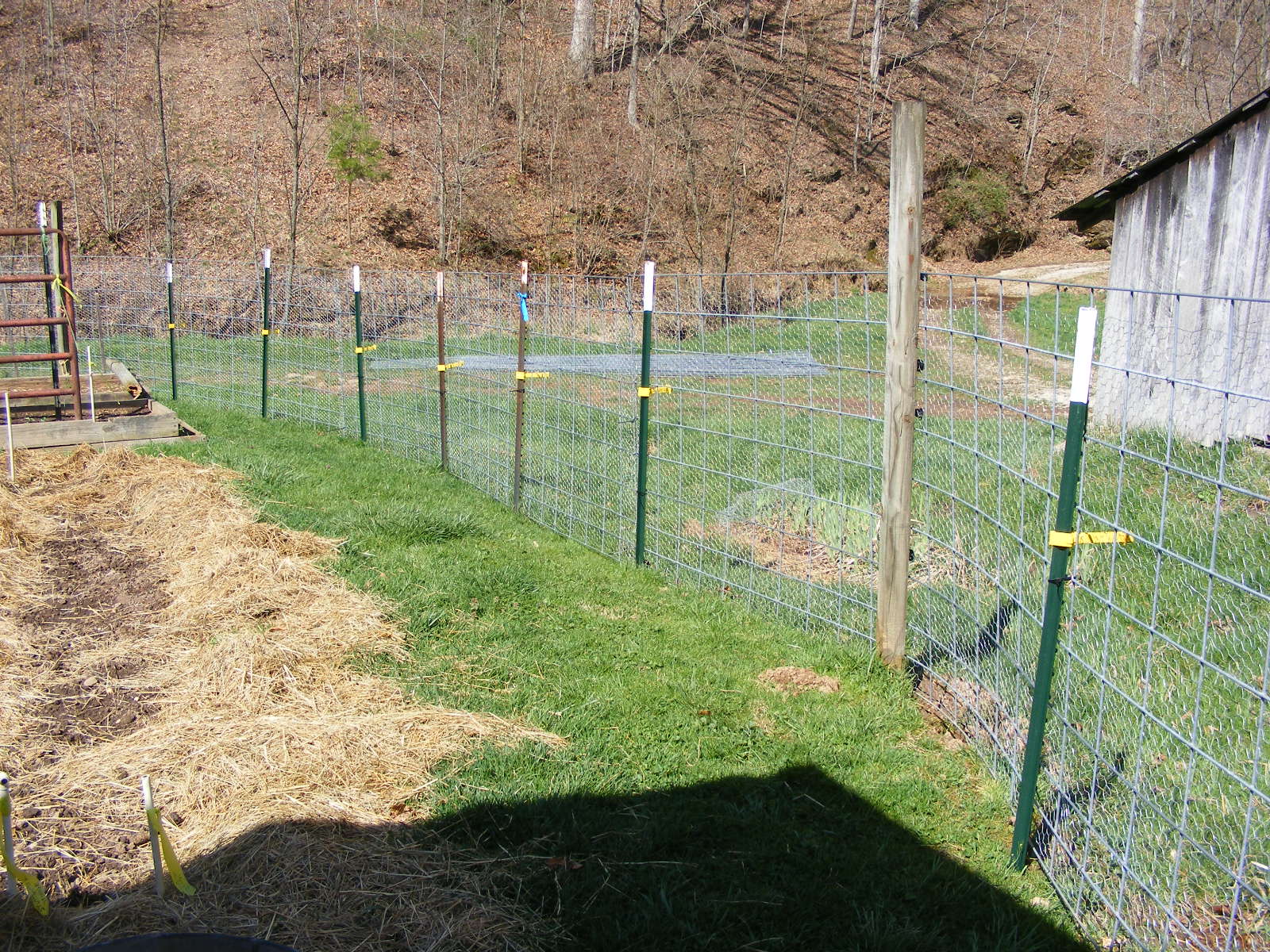posts for chicken wire fence posts for chicken wire fence