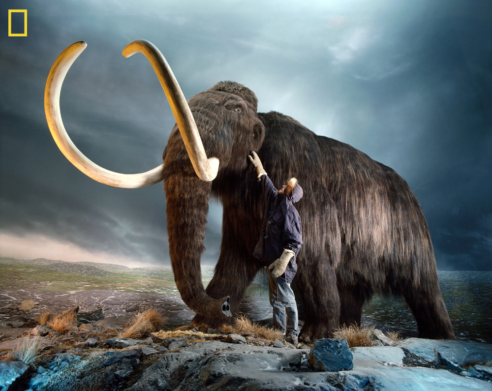 Species New to Science Reviving the Woolly Mammoth Will DeExtinction