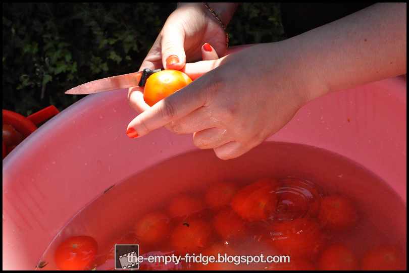 The Empty Fridge. Tomato Sauce Day Italian Backyard Style.