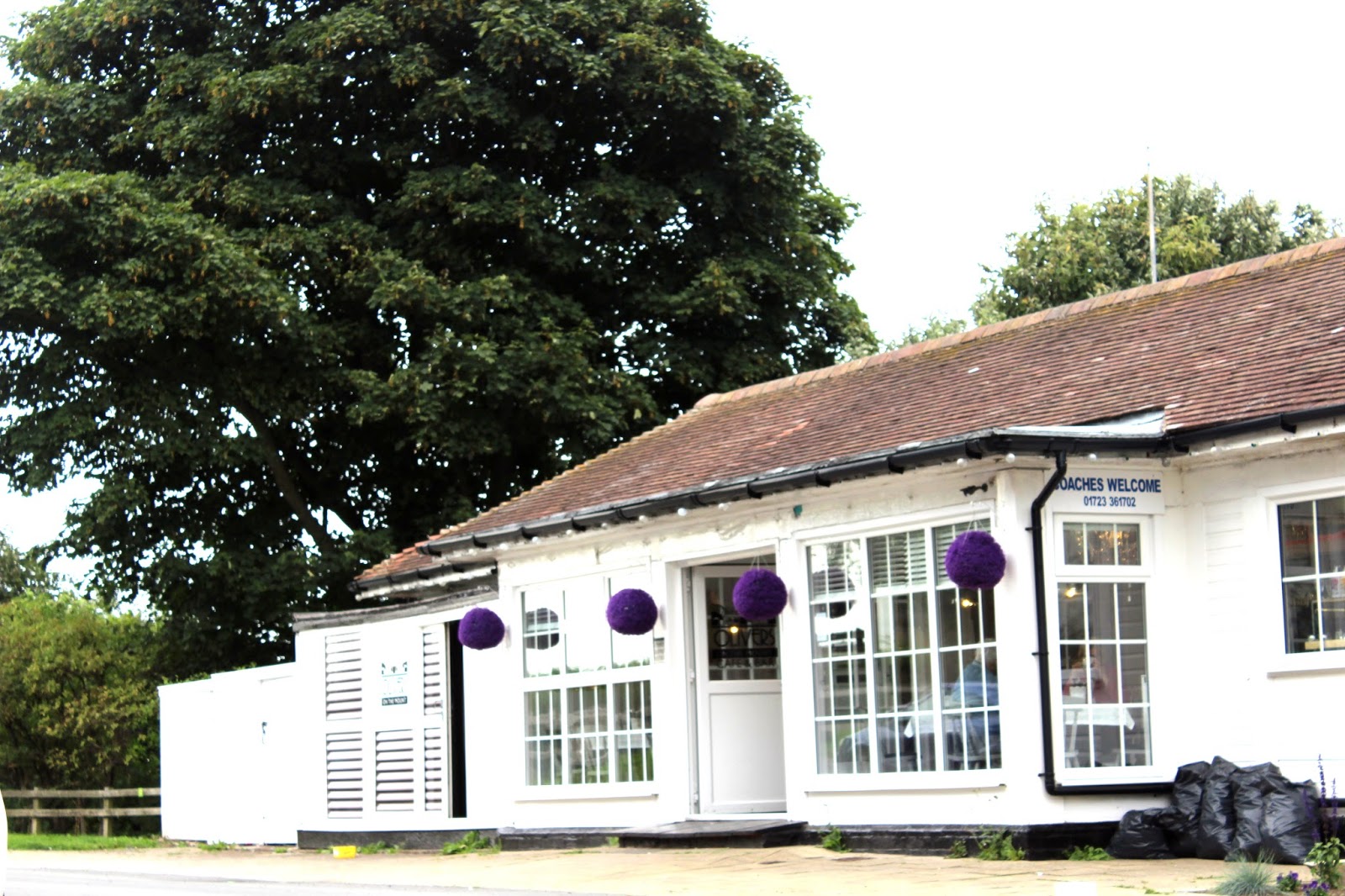 LOCAL Olivers On The Mount Cafe, Afternoon Tea Caroline ElgeyWhite