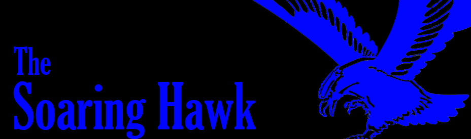 The Soaring Hawk
