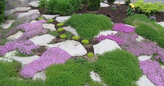 Landscaping Rocks: Landscaping With Rocks: 5 Best Creative Ideas.