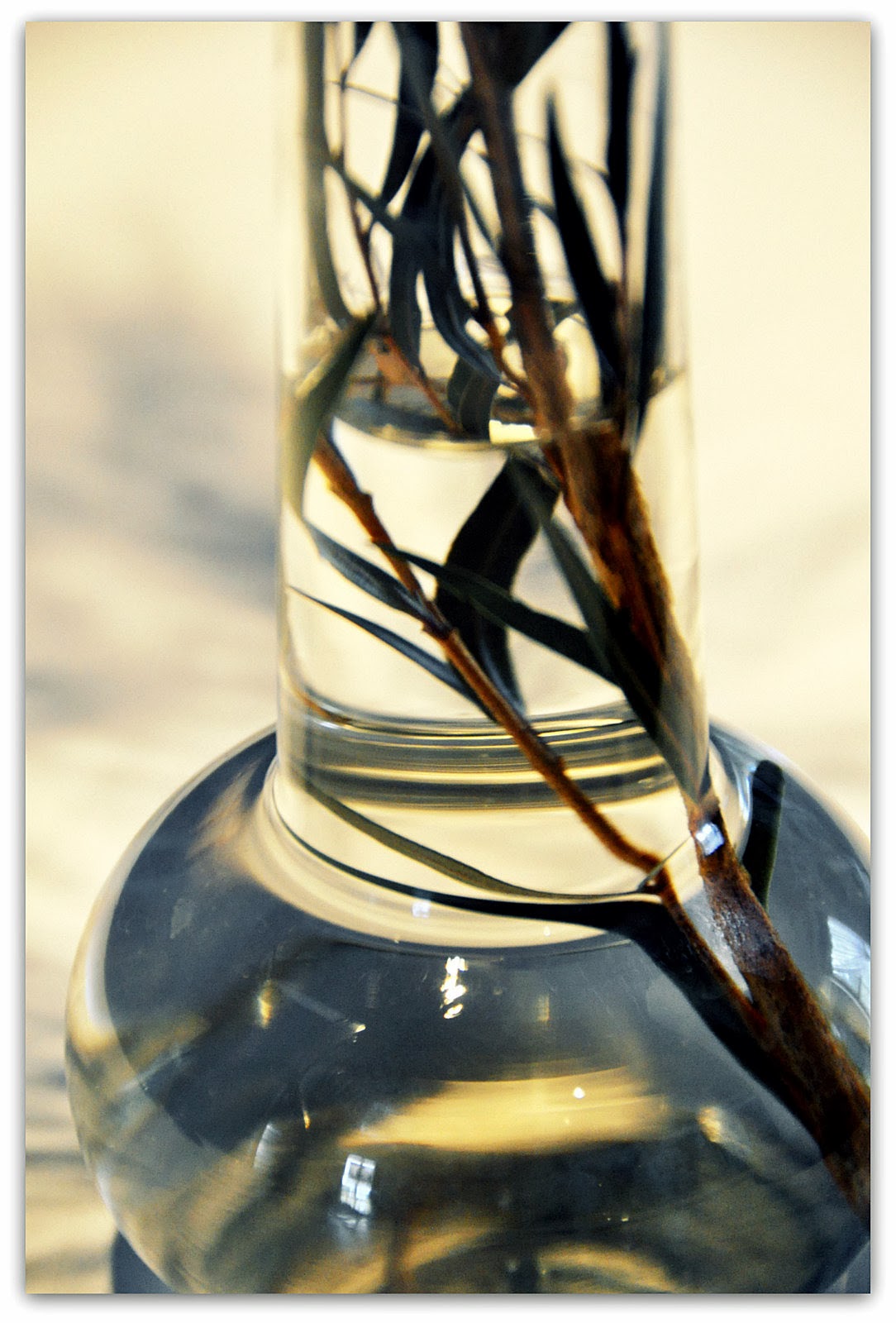 A Photographic Sage Through a Glass, Darkly...