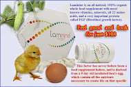 Laminine, are la baza extract din ou fecundat si incubat