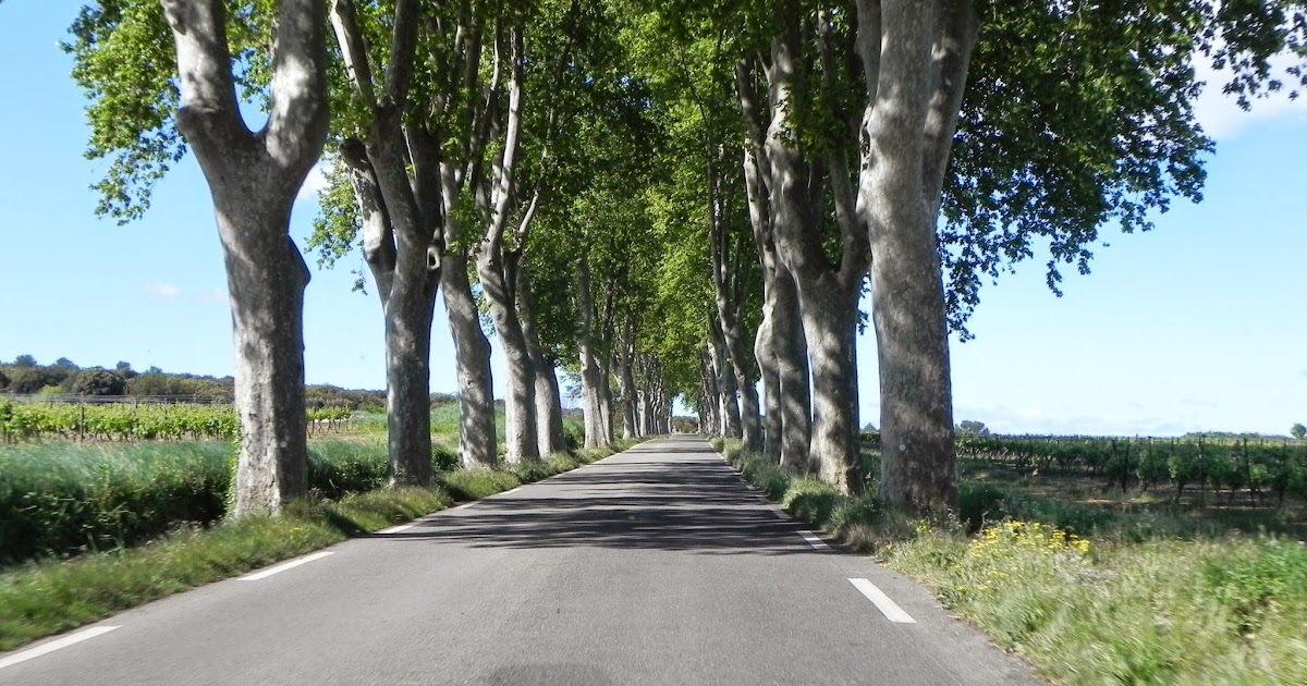 Retirement Is Great Nimes, AixenProvence, AiguesMortes