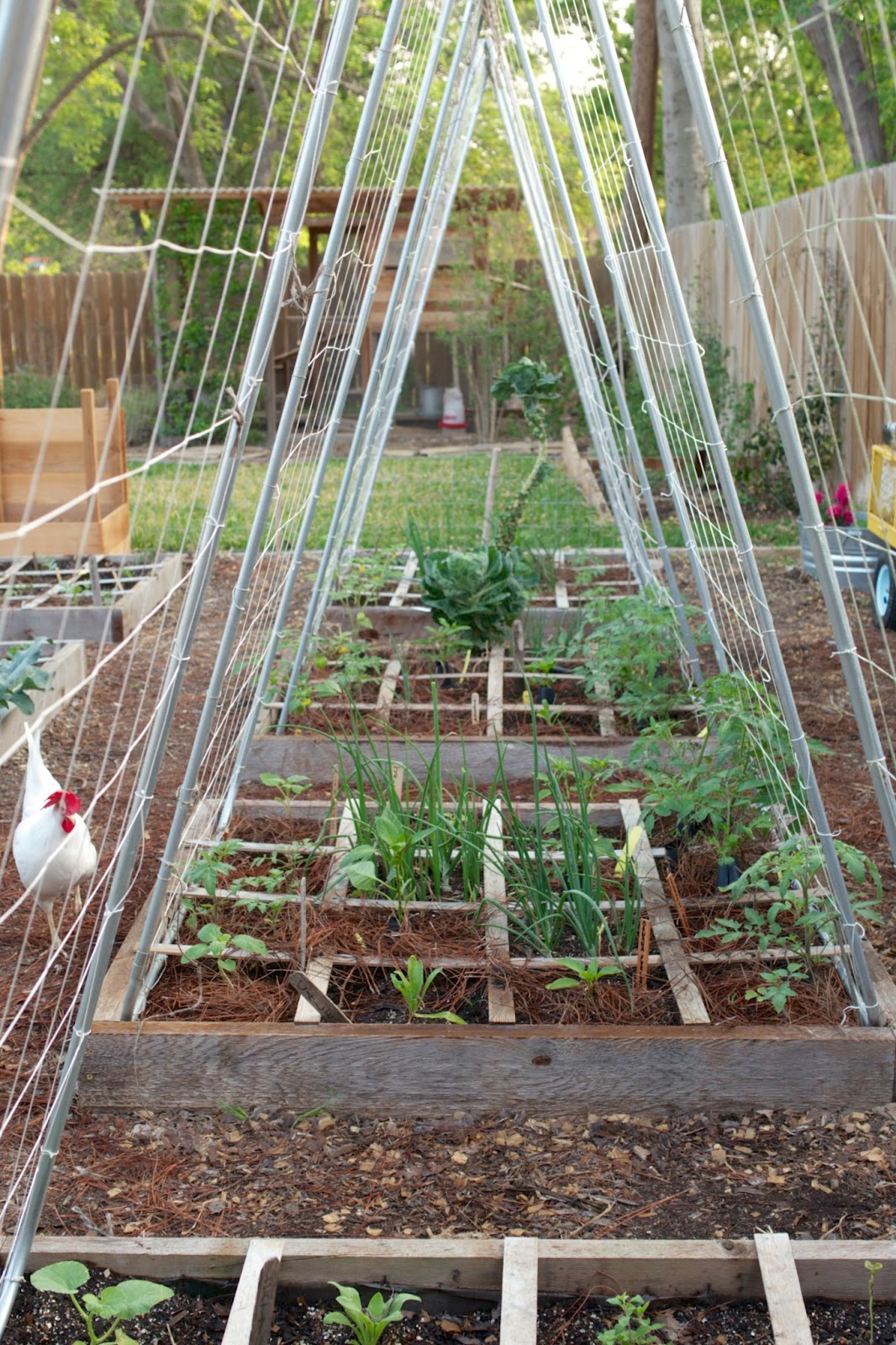 From Our Garden Recycled Bamboo Trellis