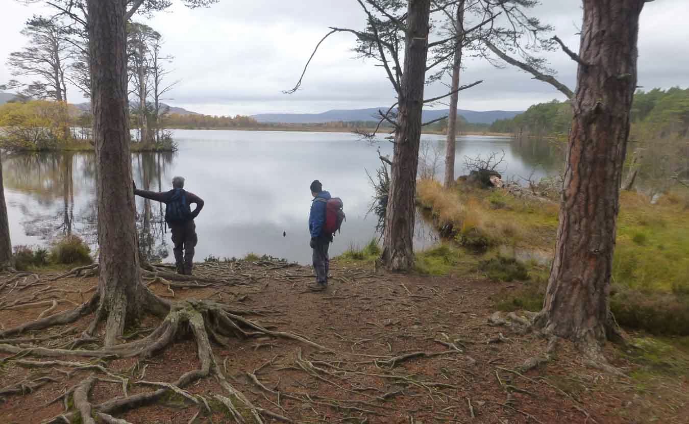 Alex and Bob`s Blue Sky Scotland Loch Garten Nature Reserve.