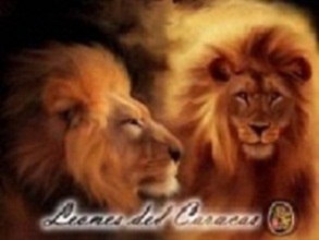 LOS GLORIOSOS LEONES DEL CARACAS.