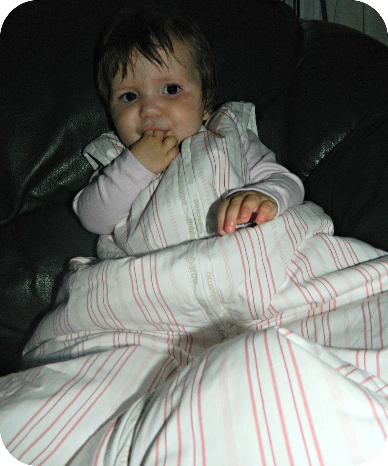 bubbaroo sleeping bag