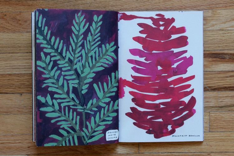 The Hip Subscription The Native Trees of Canada