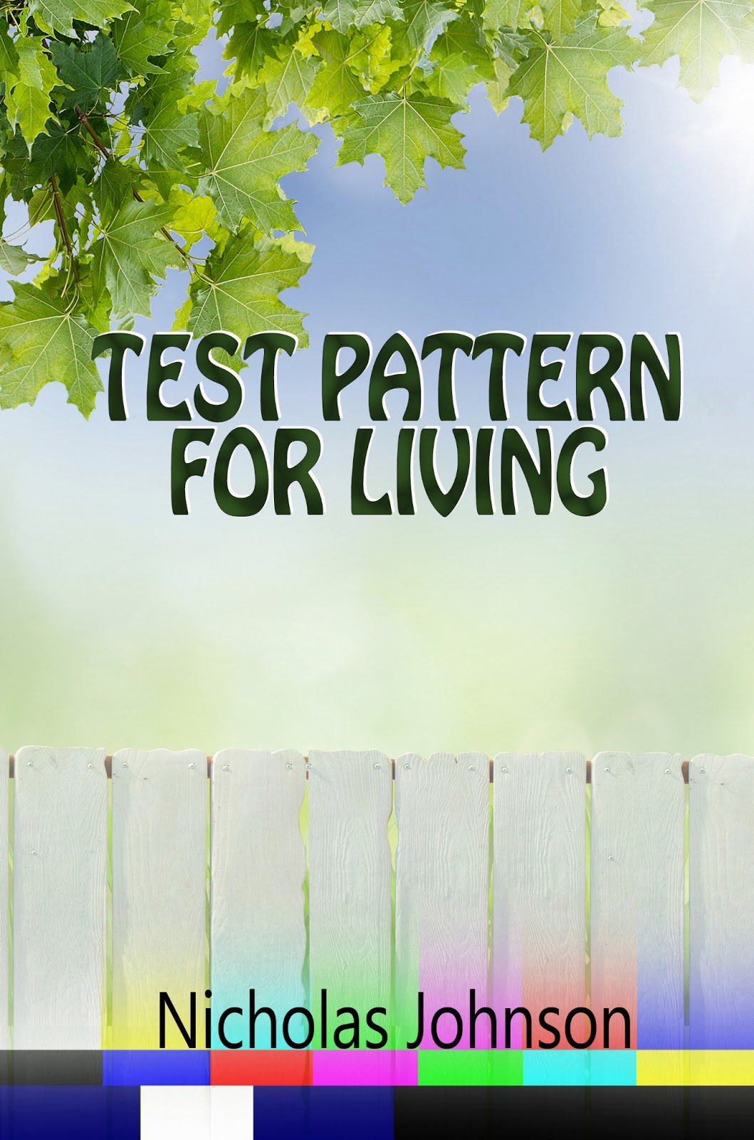 Test Pattern Modern Living | fromdc2iowa finding your different drummer Test Pattern Modern Living | fromdc2iowa finding your different drummer