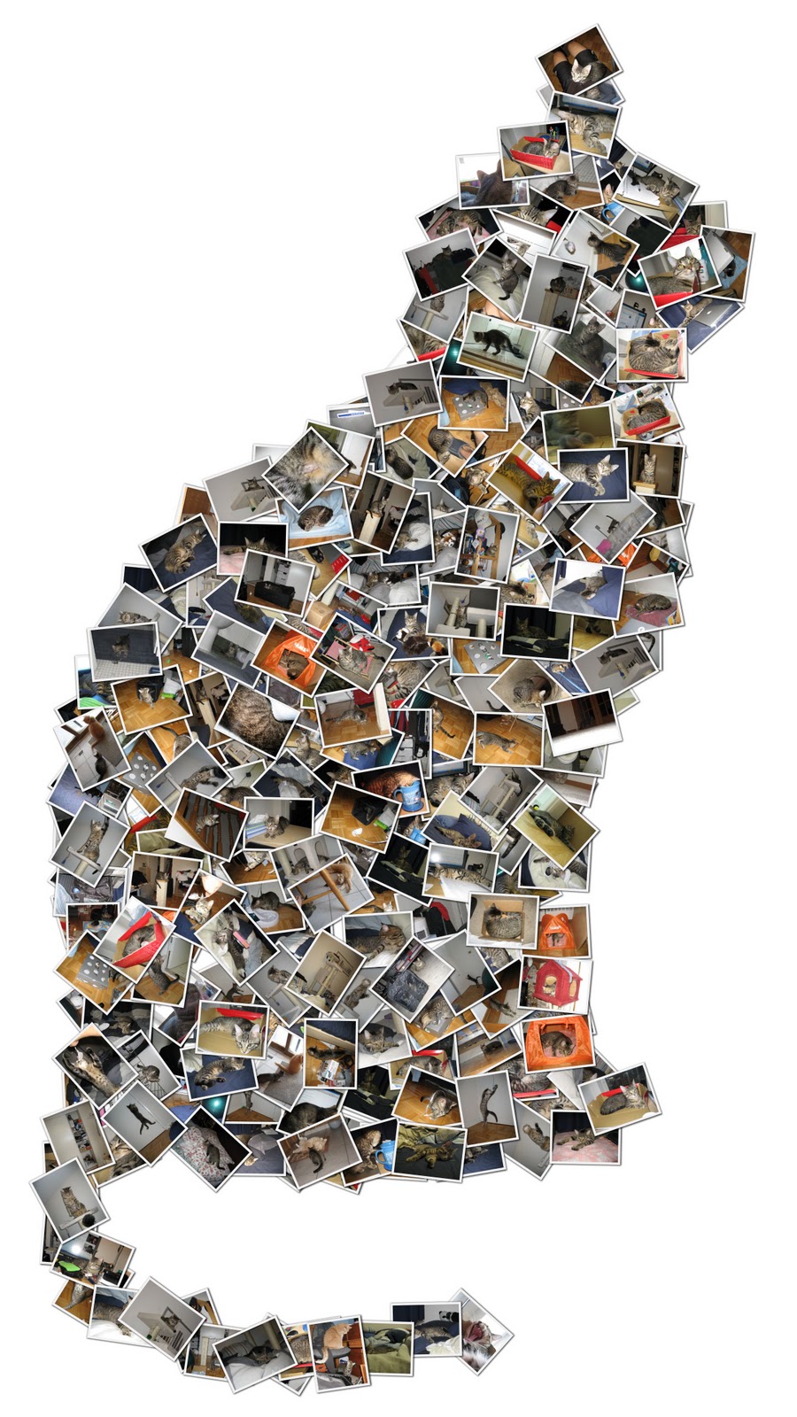 Picture collage Funny pictures Funny Videos Funny Animales