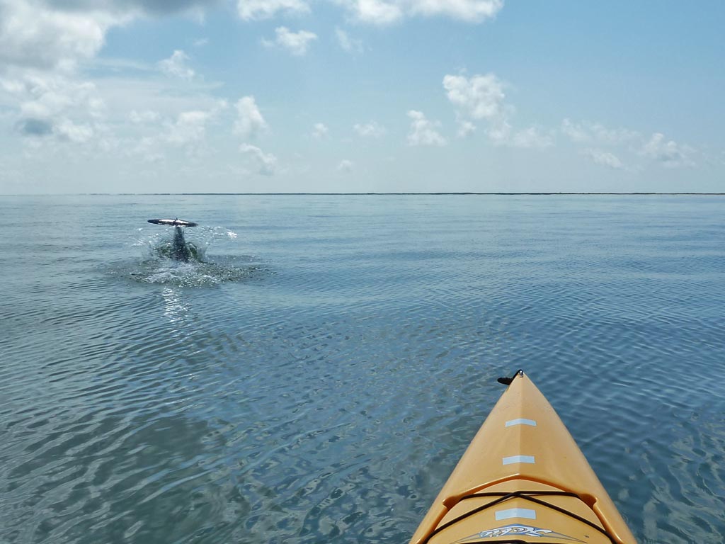 Kayaking the MobileTensaw River Delta 05/10/2011 Dauphin Island