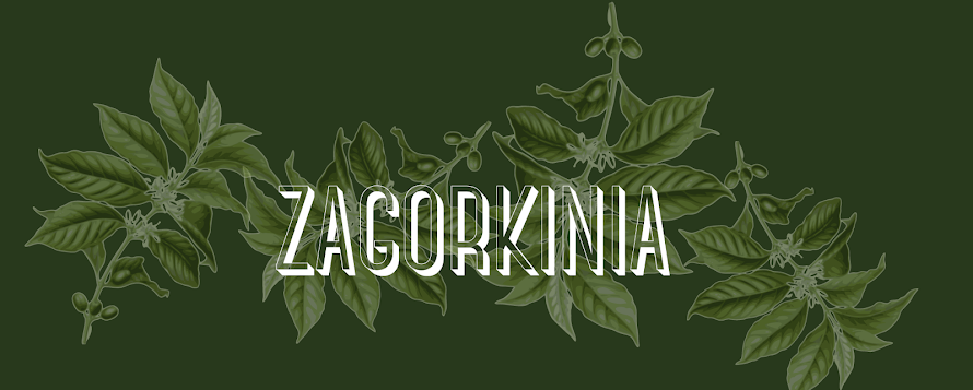 Zagorkinia