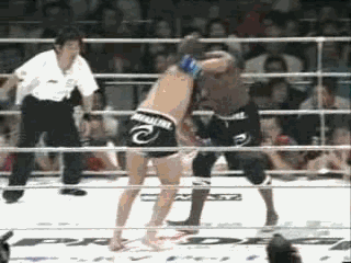17+Fedor+Emelianenko+vs+Gary+Goodridge_xvid.gif