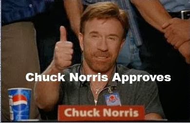 Chuck Norris aprova este blog!