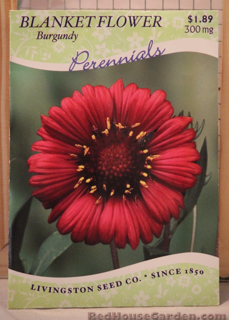 Red House Garden Problem with Blanket Flowers