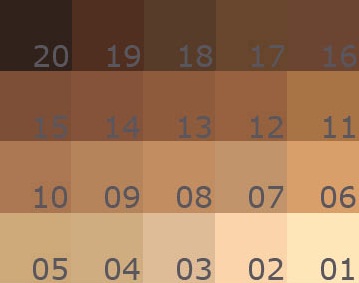 SKIN_TONE_CHART.jpg