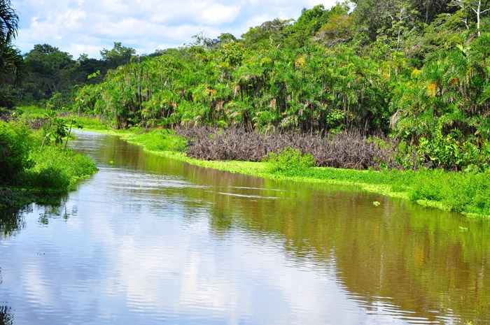 World Beautifull Places: Amazon Rainforest South America Nice View And