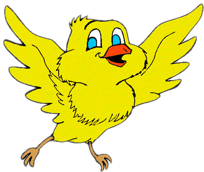 Blog da Patricinha: O PASSARINHO RAFA.