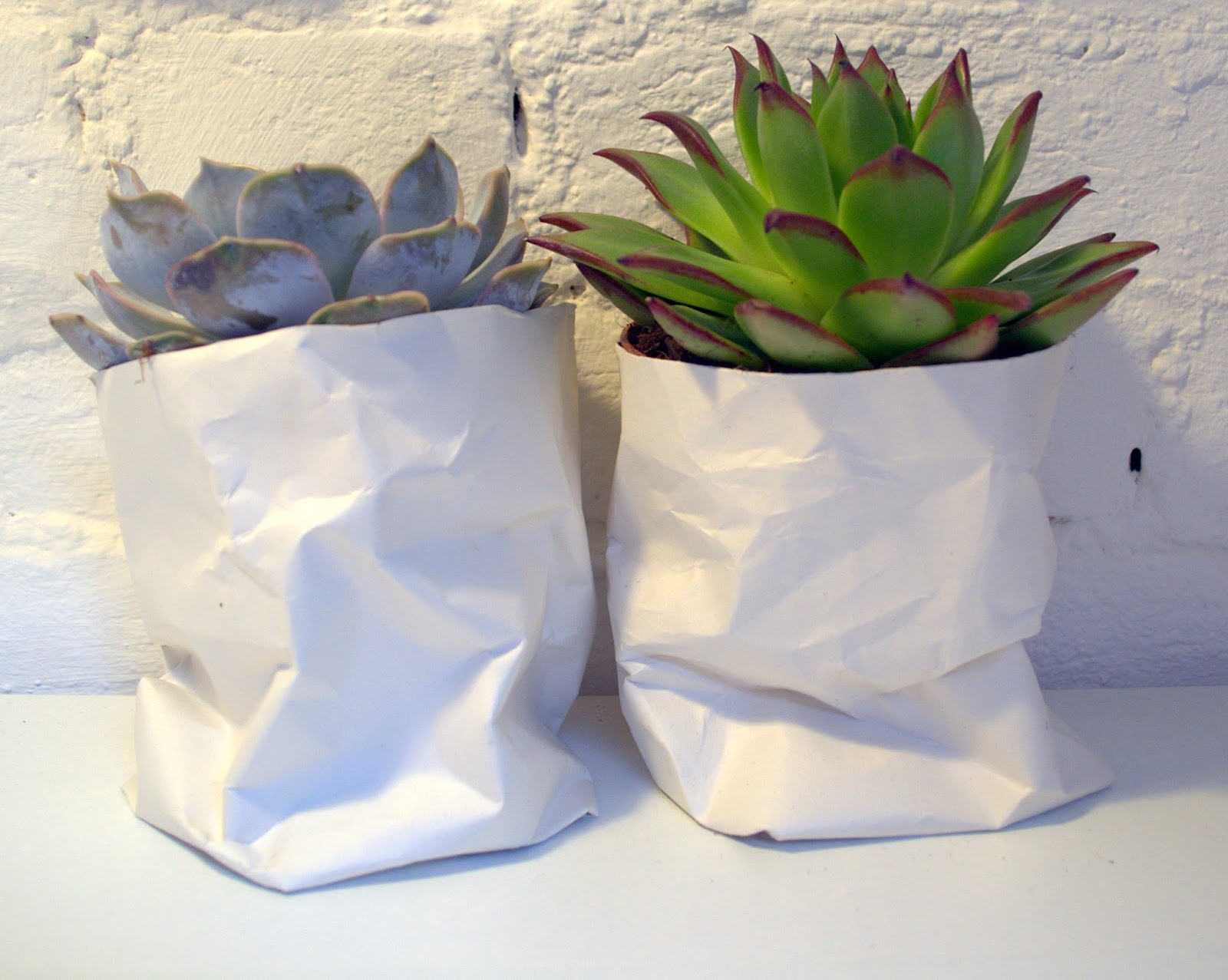 nostalgiecat DIY paper plant pot