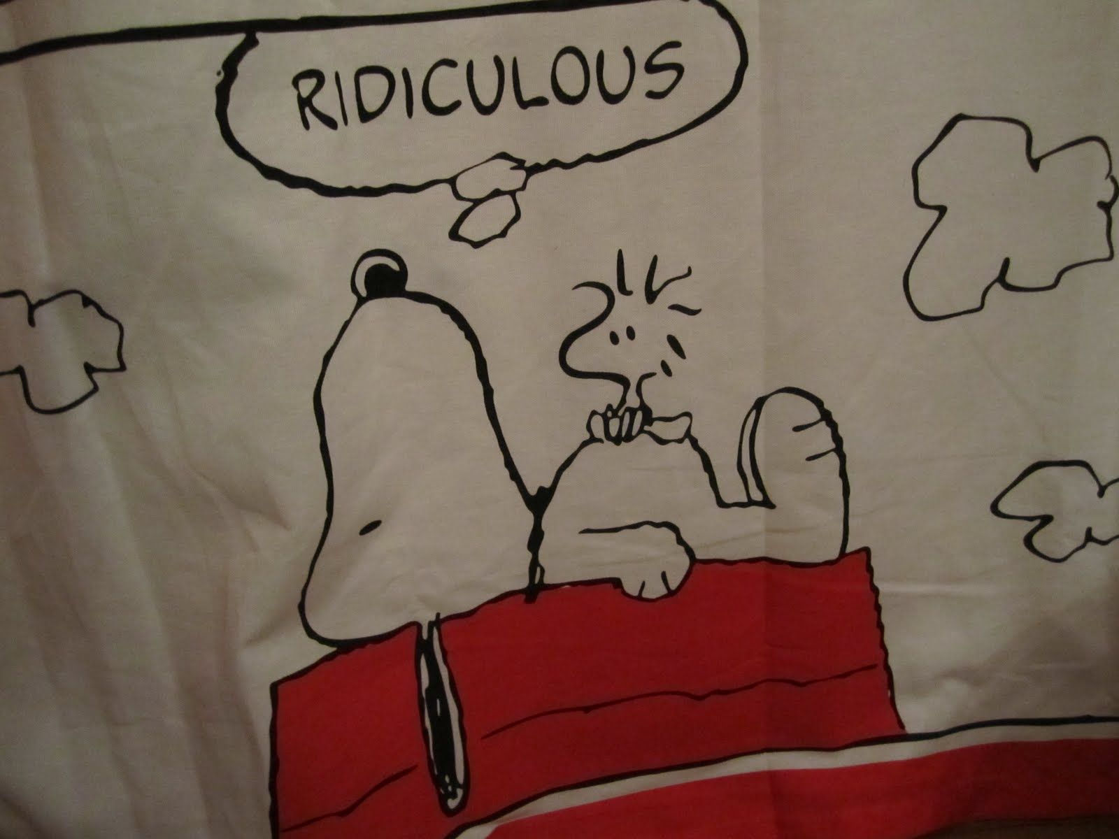Bobby Calabrese's OFFICIAL BLOG "Peanuts" Shower Curtain & Me.